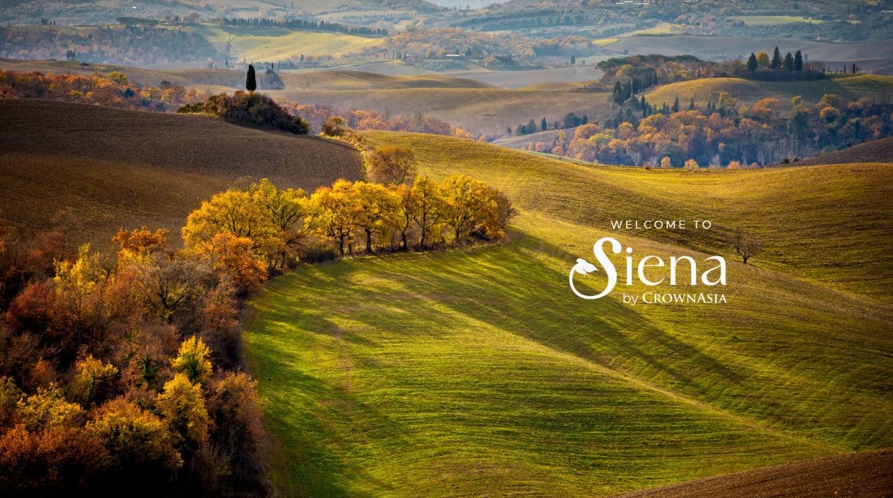 Siena Hero1