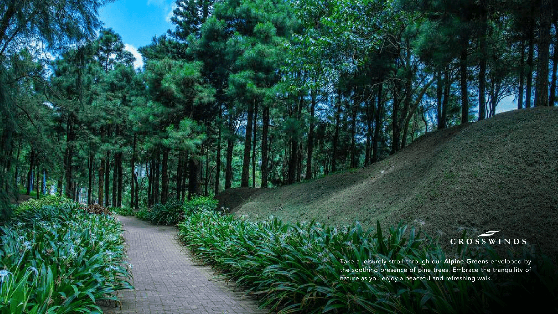 09 Crosswinds Alpine Greens Garden Path